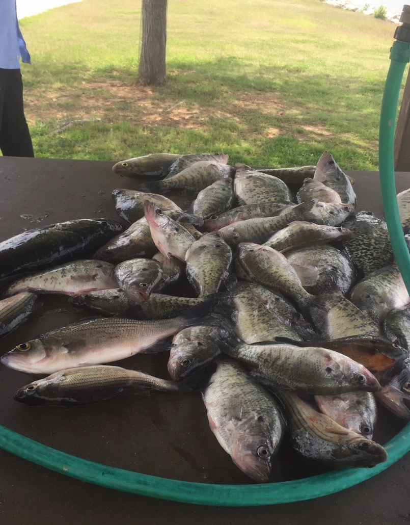 dropping clams for big bass - on the water